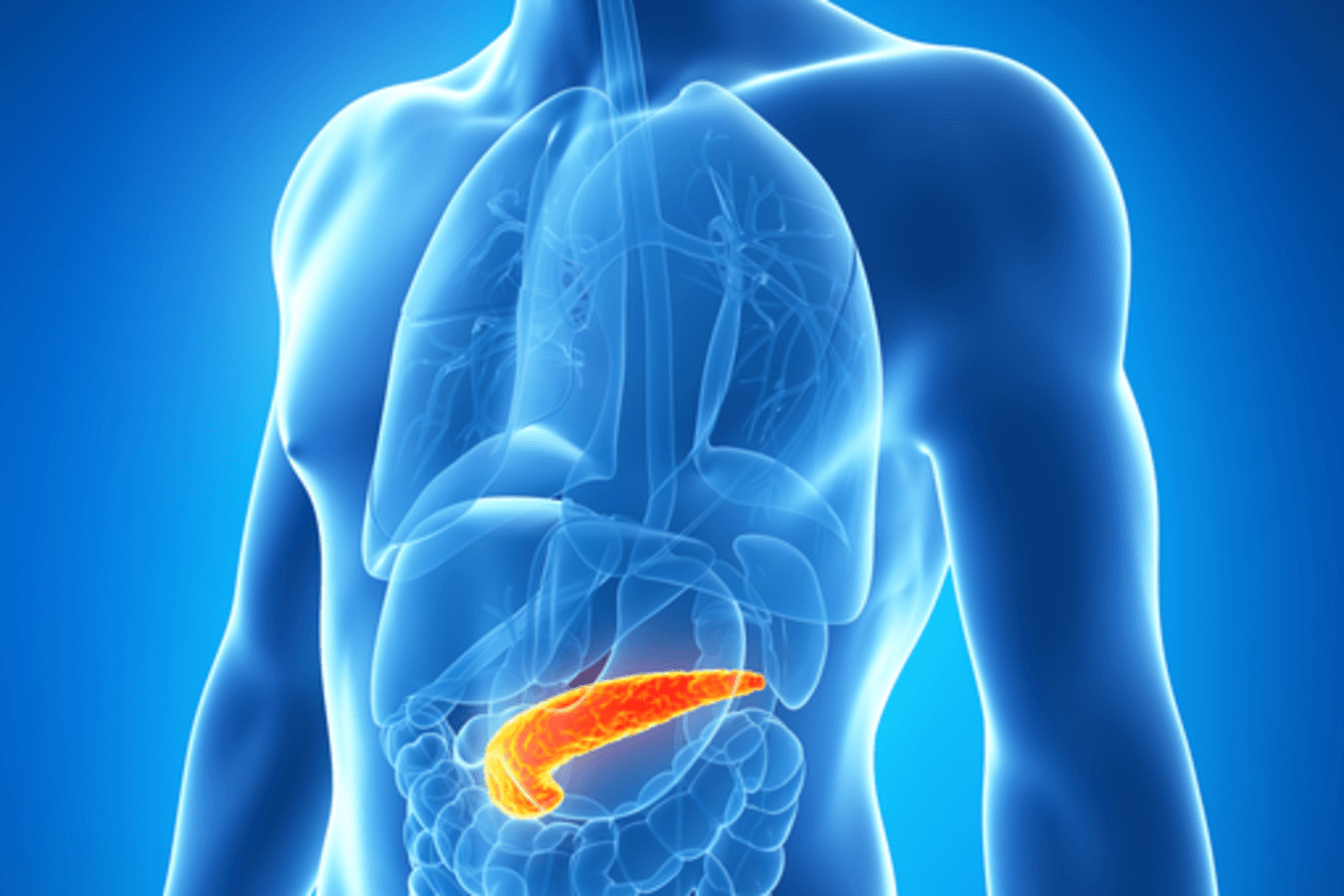La terapia nutricional, fundamental en el abordaje del cáncer de páncreas